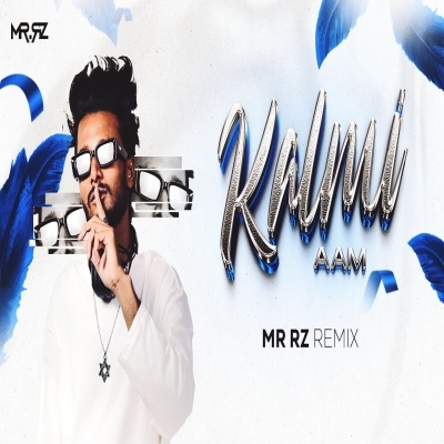 KALMI AAM   MR RZ REMIX
