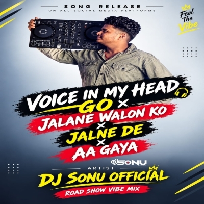 Voice Of My Head Crowd Control ( Extended Vibe ) Dj Sonu Official 